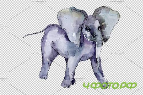 Elephant Watercolor png - 3743682