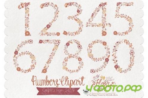 Flora 03 Numbers � Brown & Tan
