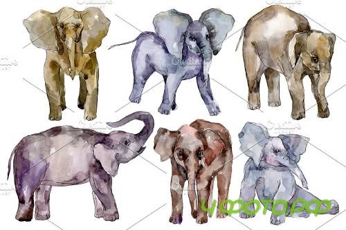 Elephant Watercolor png - 3743682