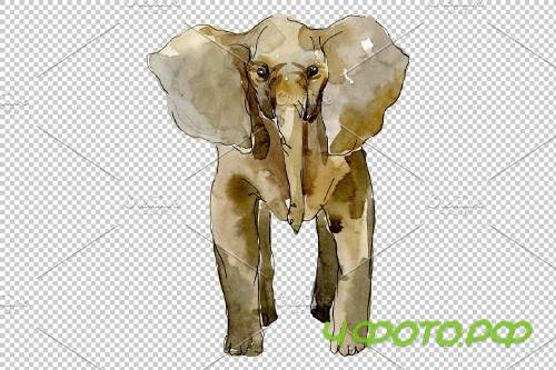 Elephant Watercolor png - 3743682