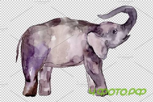 Elephant Watercolor png - 3743682