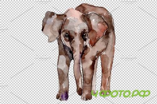 Elephant Watercolor png - 3743682