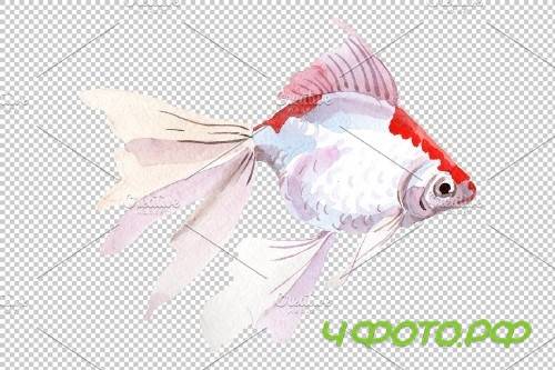 Magic Gold fish Watercolor png - 3746330