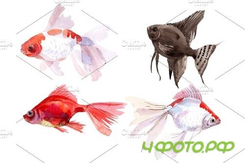 Magic Gold fish Watercolor png - 3746330