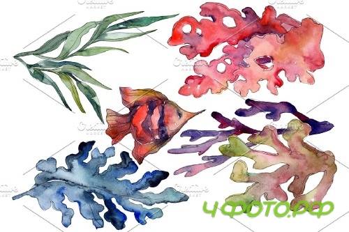 Corals Watercolor png - 3753227