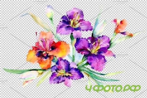 Bouquet Freesia watercolor png - 3755902