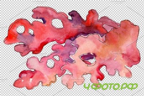 Corals Watercolor png - 3753227