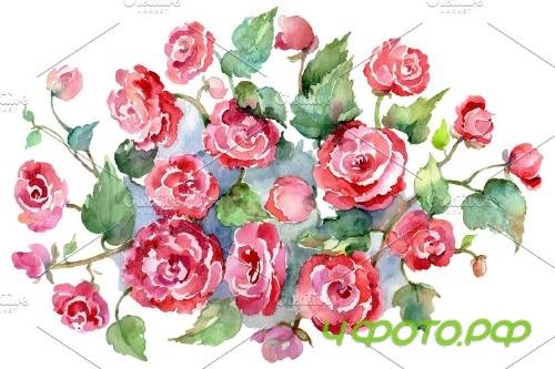 Bouquet of roses pink Metamorphosis - 3755719