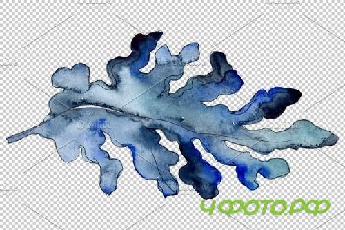 Corals Watercolor png - 3753227