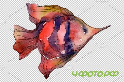 Corals Watercolor png - 3753227