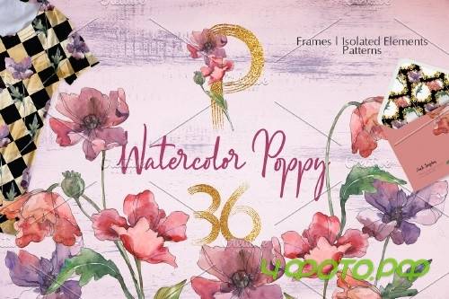 Red Poppy Watercolor png - 3756703