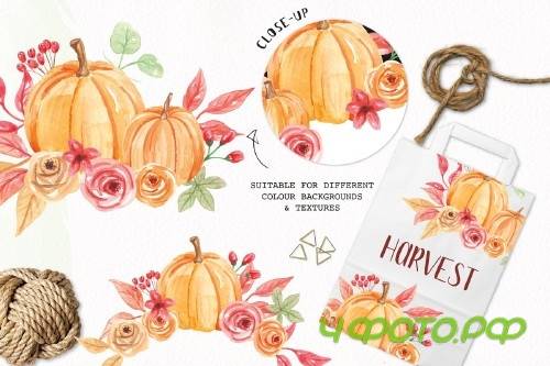 Pumpkin Clipart Bouquets Watercolor - 2644534