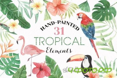 Watercolor Tropical Elements Set - 2485564