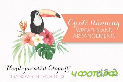 Watercolor Tropical Elements Set - 2485564