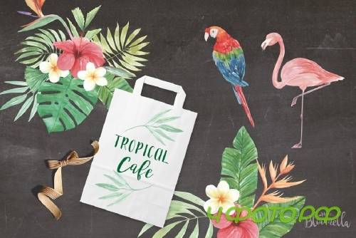 Watercolor Tropical Elements Set - 2485564