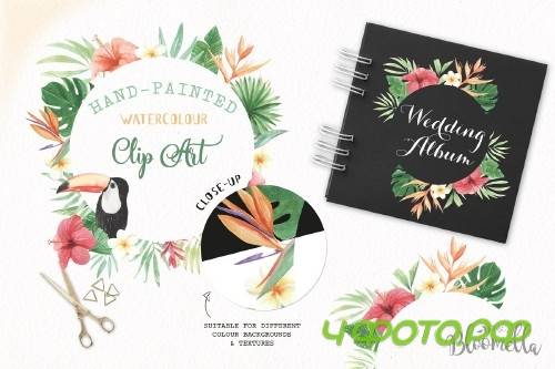 Tropical Watercolor Frames Flamingo - 2479597