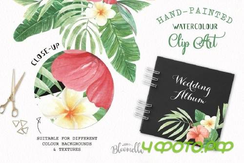 Watercolor Tropical Elements Set - 2485564