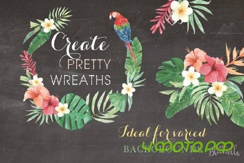 Watercolor Tropical Elements Set - 2485564