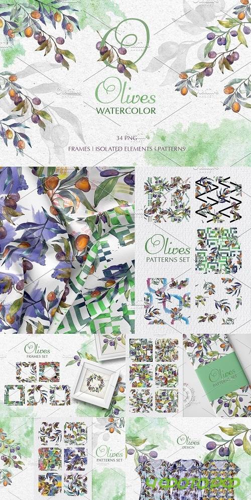 Olives green Watercolor png - 3768850