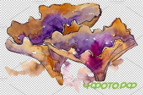 Corals joy of nature watercolor png - 3789019