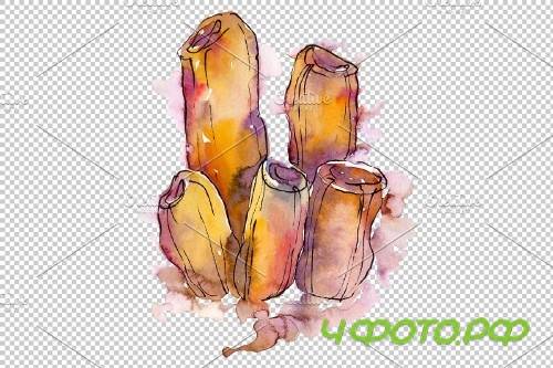 Corals joy of nature watercolor png - 3789019