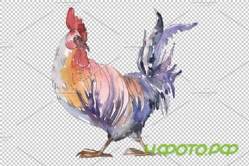 Agriculture: cock,hen Watercolor png - 3784064