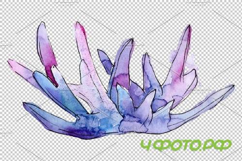 Corals joy of nature watercolor png - 3789019