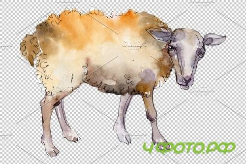 Agriculture:sheep, ram Watercolor png - 3784238