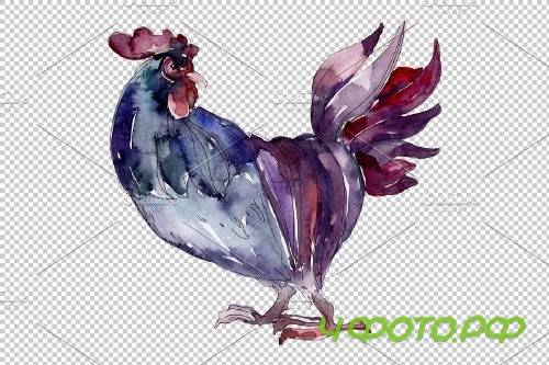 Agriculture: cock, hen Watercolor - 3785383