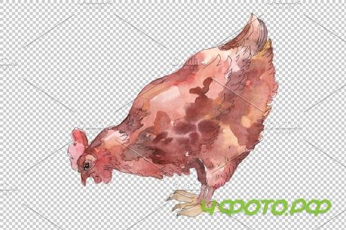 Agriculture: cock,hen Watercolor png - 3784064
