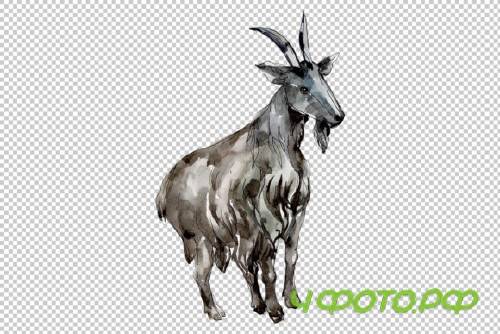 Agriculture: Goat Watercolor Png 260569