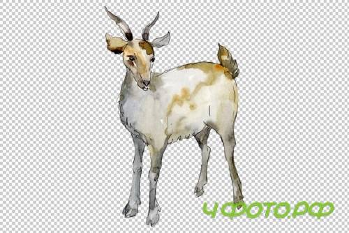 Agriculture: Goat Watercolor Png 260569