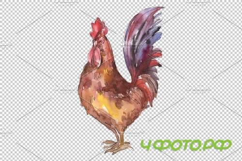 Agriculture: cock,hen Watercolor png - 3784064