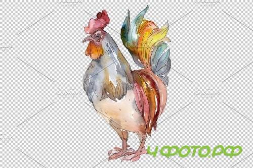 Agriculture: cock, hen Watercolor - 3785383