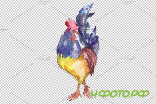 Farm animals: cock Watercolor png - 3784015