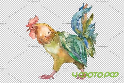 Farm animals: cock Watercolor png - 3784015