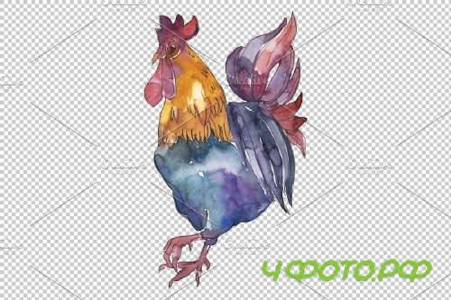 Farm animals: cock Watercolor png - 3784015