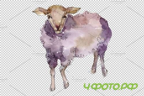 Agriculture:sheep, ram Watercolor png - 3784238