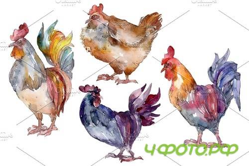 Agriculture: cock, hen Watercolor - 3785383