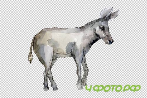 Agriculture: donkey Watercolor png - 3784176