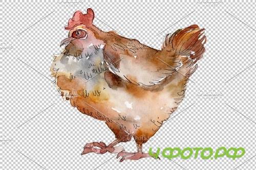 Agriculture: cock, hen Watercolor - 3785383