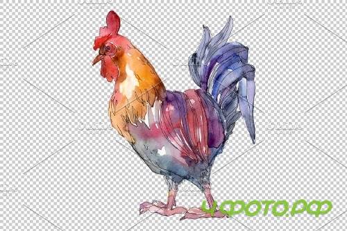 Agriculture: cock, hen Watercolor - 3785383