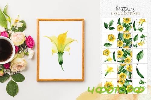 Yellow Brugmansia PNG watercolor set - 3098794