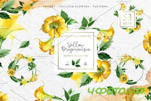Yellow Brugmansia PNG watercolor set - 3098794