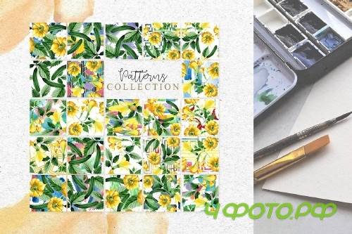 Yellow Brugmansia PNG watercolor set - 3098794