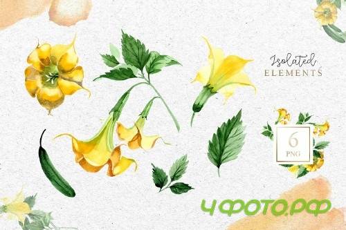 Yellow Brugmansia PNG watercolor set - 3098794