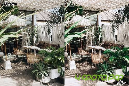 Neo Tropical Theme Color Grading photoshop actions - 262394