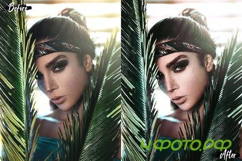 Neo Tropical Theme Color Grading photoshop actions - 262394