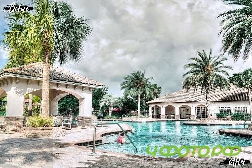 Neo Tropical Theme Color Grading photoshop actions - 262394