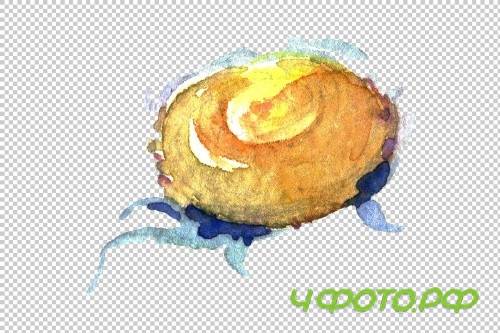 Daisy/chamomile Watercolor png - 3797902